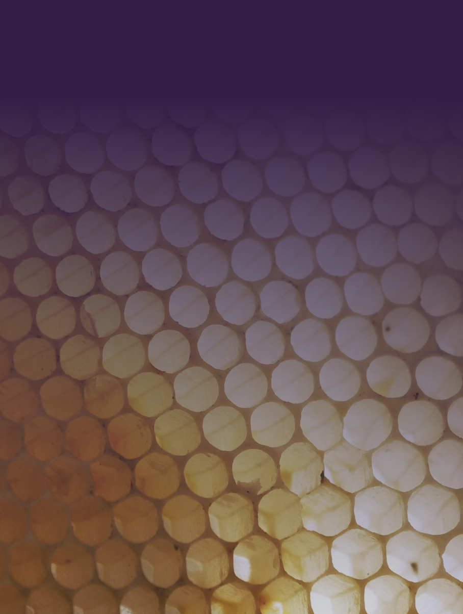 Screenshot 2026-02-24 at 17.00.35