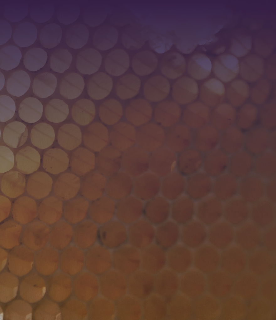 Screenshot 2026-02-24 at 17.00.42