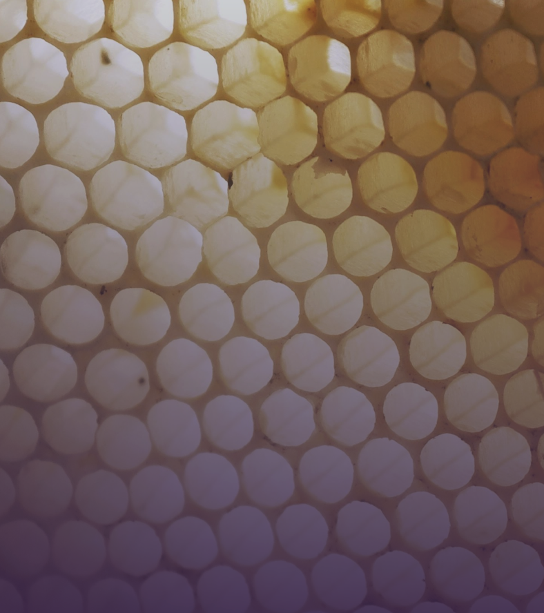 Screenshot 2026-02-24 at 17.00.49