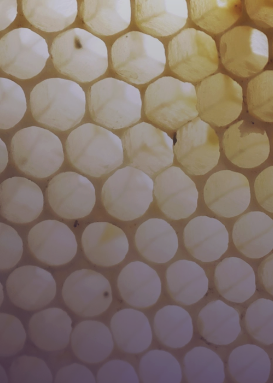 Screenshot 2026-03-11 at 14.01.15