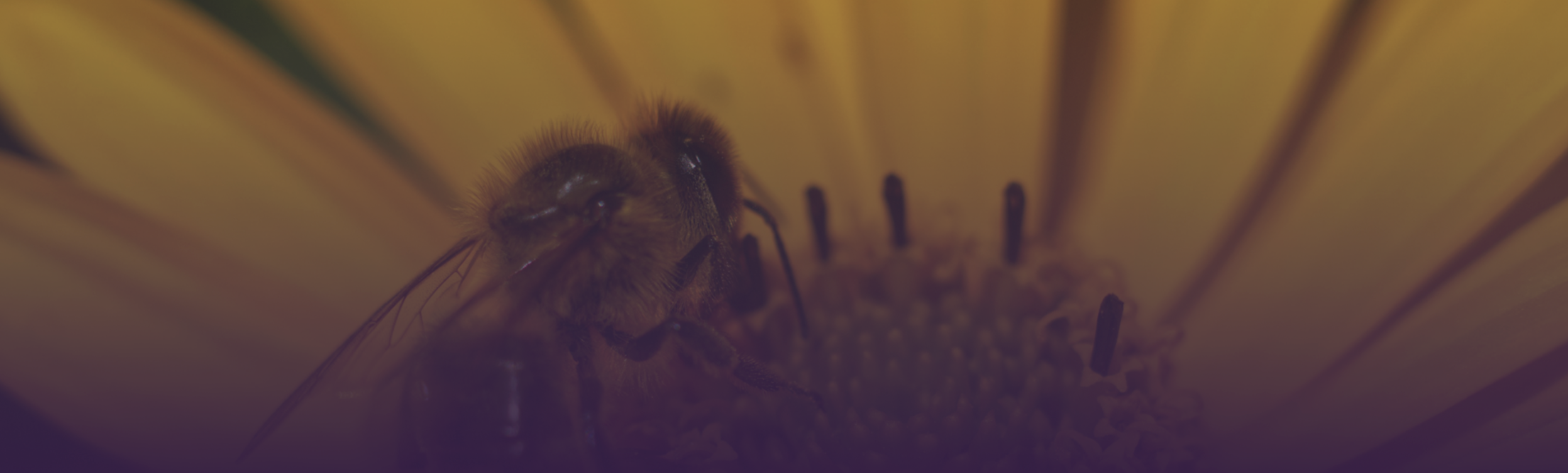 Screenshot 2026-03-12 at 15.07.04