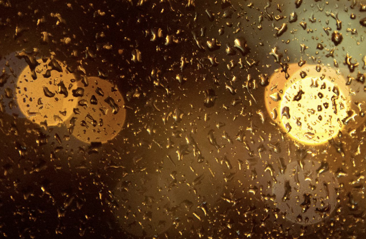 Screenshot 2026-03-19 at 10.29.10